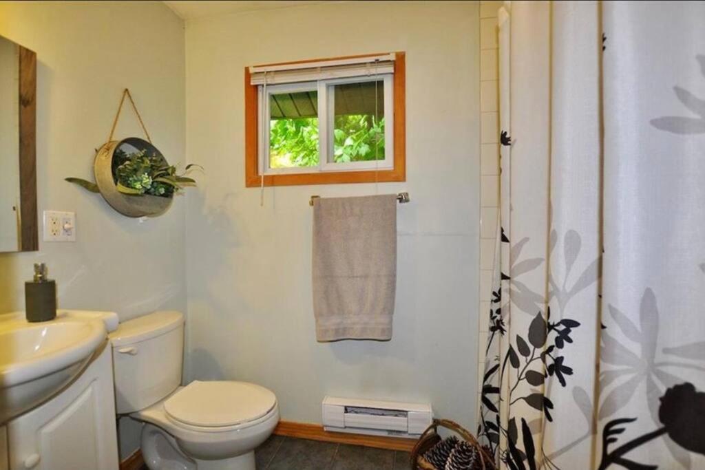 Muskoka Manor Βίλα Dwight Εξωτερικό φωτογραφία