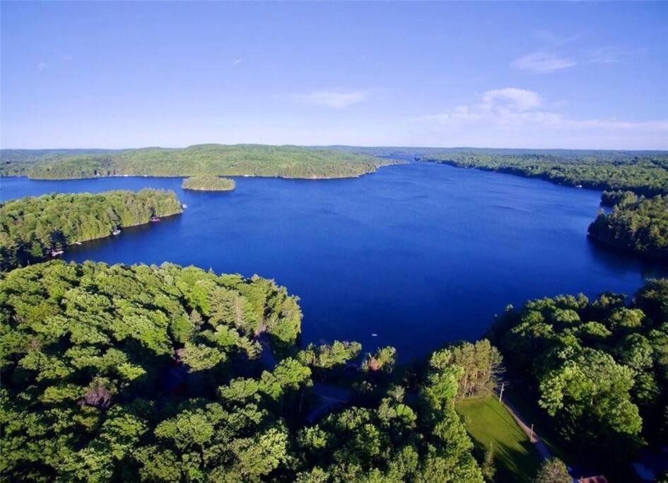 Muskoka Manor Βίλα Dwight Εξωτερικό φωτογραφία
