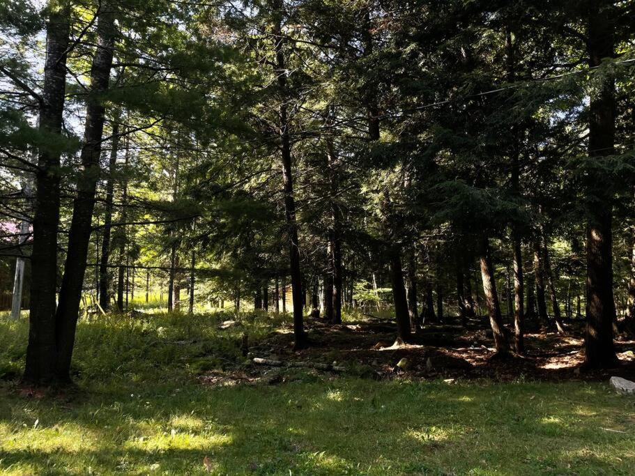 Muskoka Manor Βίλα Dwight Εξωτερικό φωτογραφία